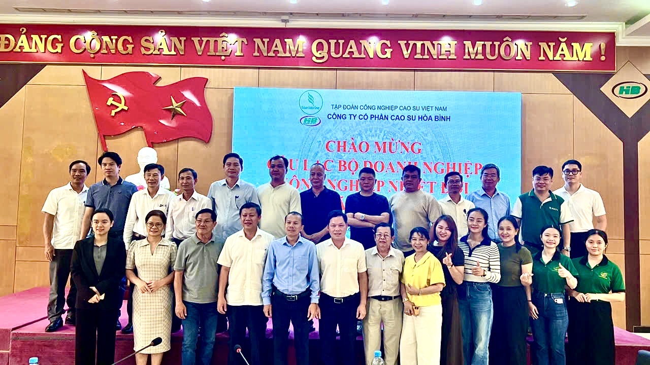 Hình ảnh hoạt động