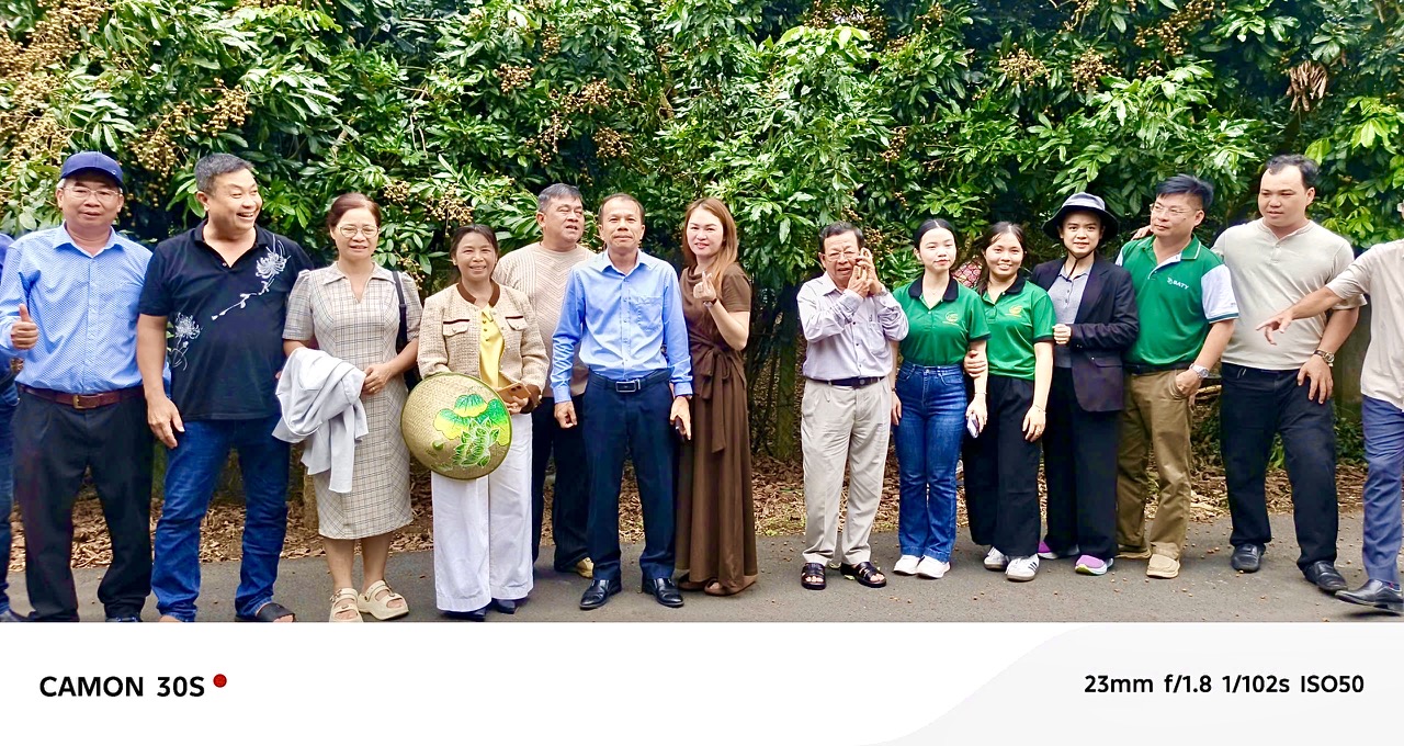 Hình ảnh hoạt động