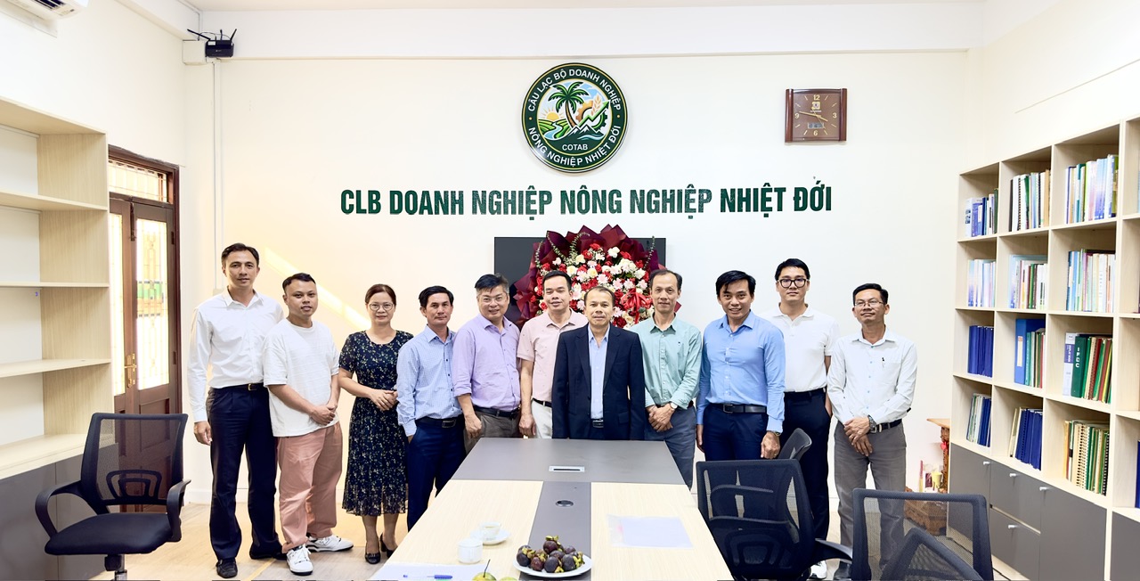Hình ảnh hoạt động