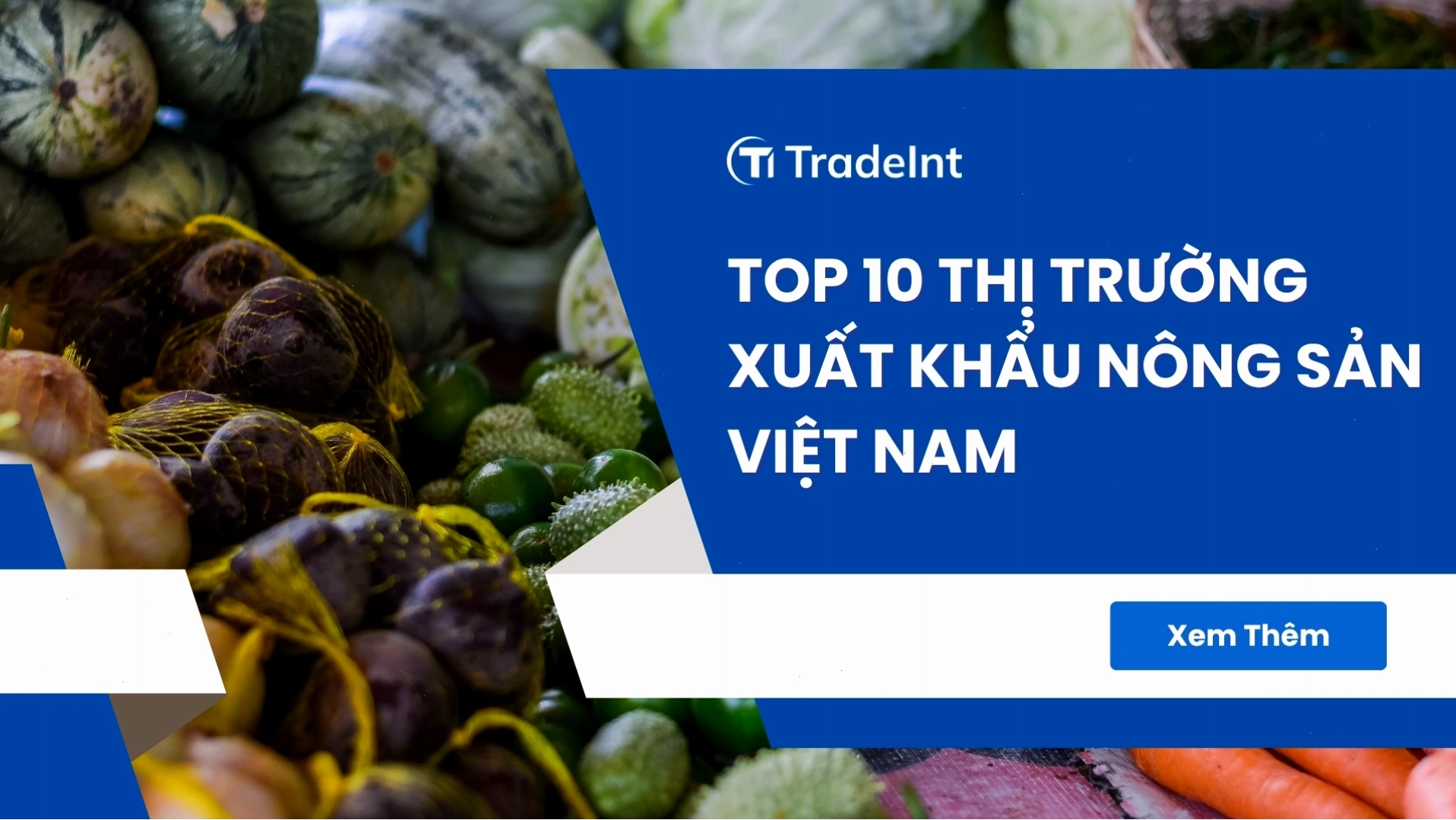 Xuất khẩu Nông sản Việt Nam: Cơ hội và Thách thức đến năm 2026