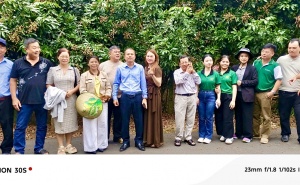 Hình ảnh hoạt động