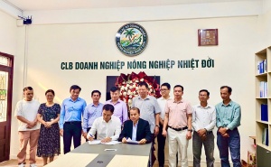Hình ảnh hoạt động
