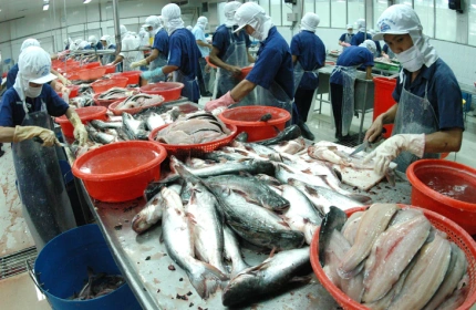 Xuất khẩu nông sản 'lật ngược thế cờ' đạt kim ngạch xuất khẩu tới 70 tỉ USD ra sao?